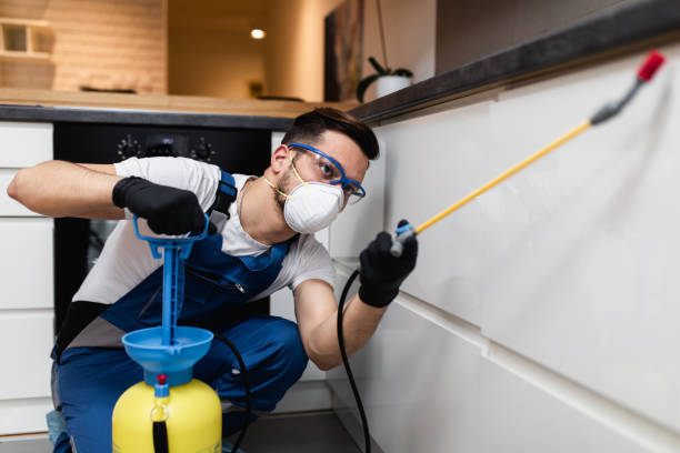 Best Exterminator Services  in Christiansburg, VA