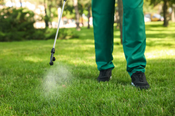 Best Mosquito Control Services  in Christiansburg, VA