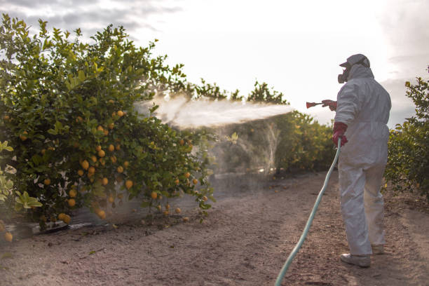 Best Pest Control for Homes  in Christiansburg, VA