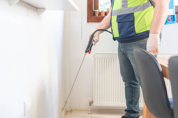 Best Flea Control Services  in Christiansburg, VA