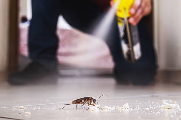 Best Pest Control Near Me  in Christiansburg, VA