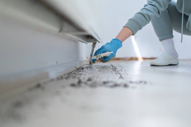 Best Cockroach Control Services  in Christiansburg, VA