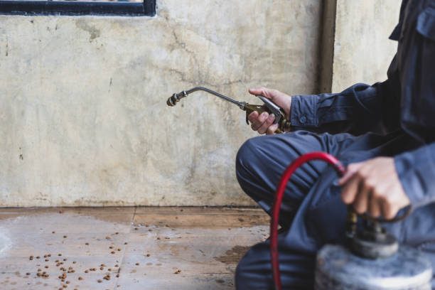 Best Local Pest Control Services  in Christiansburg, VA